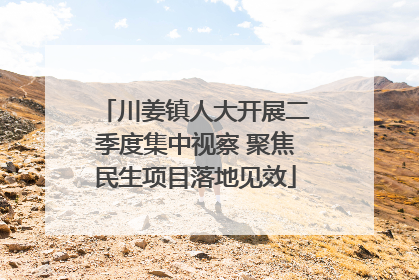 川姜镇人大开展二季度集中视察 聚焦民生项目落地见效