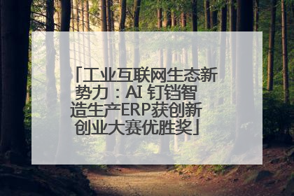工业互联网生态新势力：AI 钉铛智造生产ERP获创新创业大赛优胜奖