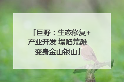 巨野：生态修复+产业开发 塌陷荒滩变身金山银山