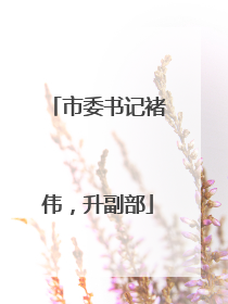 市委书记褚伟，升副部