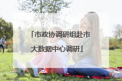 市政协调研组赴市大数据中心调研