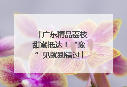 广东精品荔枝甜蜜抵达！“豫”见就别错过