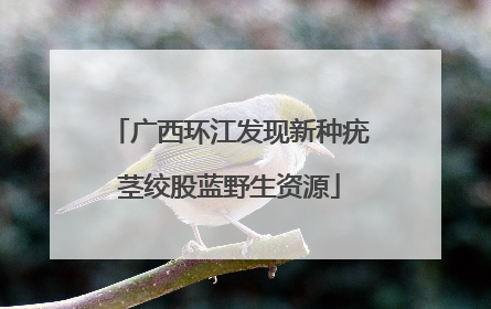 广西环江发现新种疣茎绞股蓝野生资源