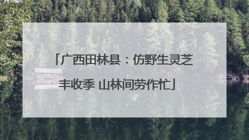 广西田林县：仿野生灵芝丰收季 山林间劳作忙