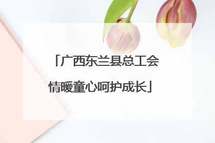 广西东兰县总工会情暖童心呵护成长