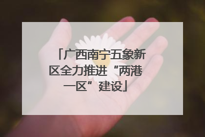 广西南宁五象新区全力推进“两港一区”建设