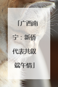 广西南宁：新侨代表共叙端午情