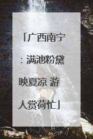 广西南宁：满池粉黛映夏凉 游人赏荷忙