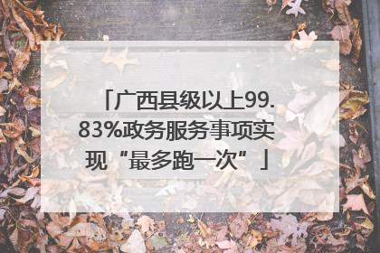 广西县级以上99.83%政务服务事项实现“最多跑一次”