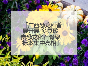 广西恐龙科普展开展 多具珍贵恐龙化石骨架标本集中亮相