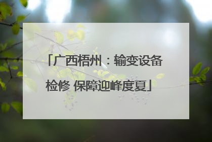 广西梧州：输变设备检修 保障迎峰度夏