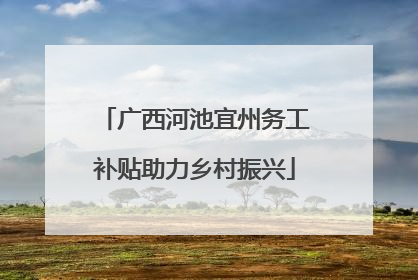 广西河池宜州务工补贴助力乡村振兴