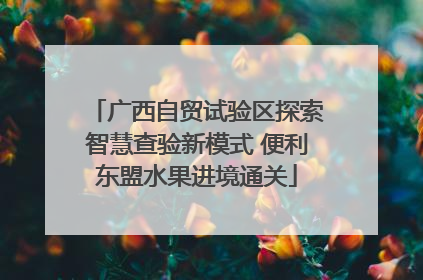 广西自贸试验区探索智慧查验新模式 便利东盟水果进境通关