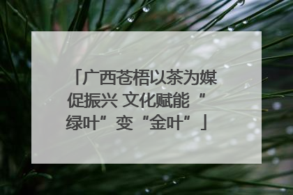 广西苍梧以茶为媒促振兴 文化赋能“绿叶”变“金叶”