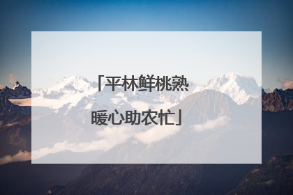 平林鲜桃熟 暖心助农忙