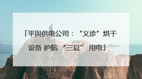 平舆供电公司：“义诊”烘干设备 护航 “三夏” 用电