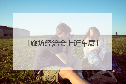 廊坊经洽会上逛车展