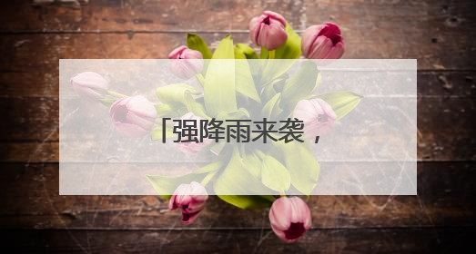 强降雨来袭，全力守护群众生命财产安全