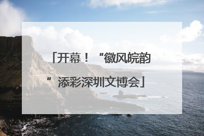 开幕！“徽风皖韵”添彩深圳文博会