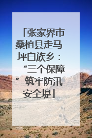 张家界市桑植县走马坪白族乡：“三个保障”筑牢防汛安全堤