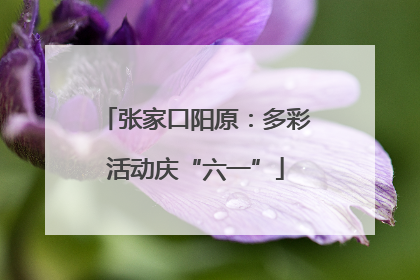 张家口阳原：多彩活动庆“六一”