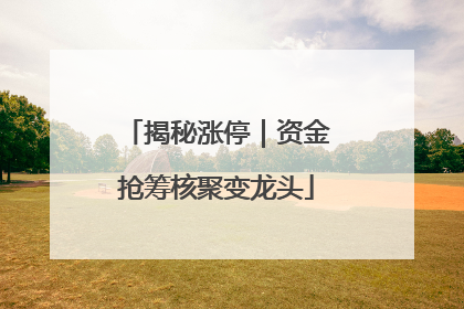 揭秘涨停｜资金抢筹核聚变龙头