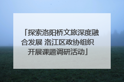 探索洛阳桥文旅深度融合发展 洛江区政协组织开展课题调研活动
