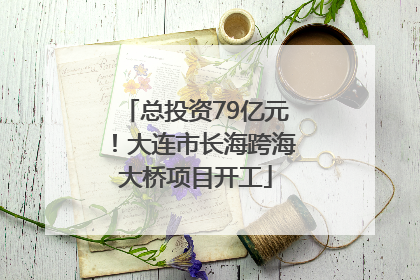 总投资79亿元！大连市长海跨海大桥项目开工