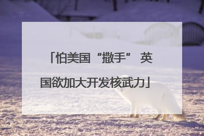 怕美国“撒手” 英国欲加大开发核武力