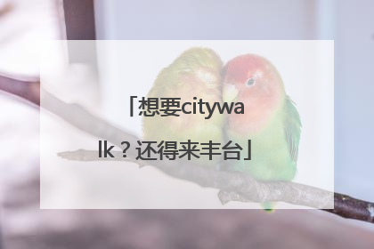 想要citywalk？还得来丰台