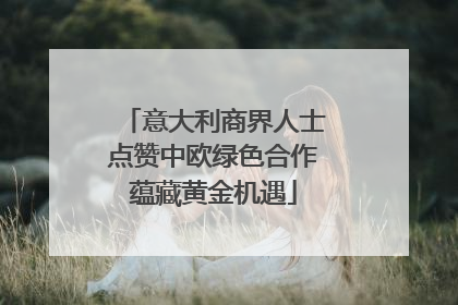 意大利商界人士点赞中欧绿色合作蕴藏黄金机遇