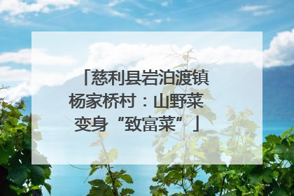 慈利县岩泊渡镇杨家桥村：山野菜变身“致富菜”