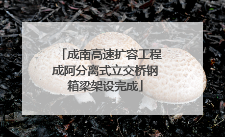 成南高速扩容工程成阿分离式立交桥钢箱梁架设完成
