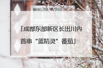 成都东部新区长出川内首串“蓝精灵”番茄