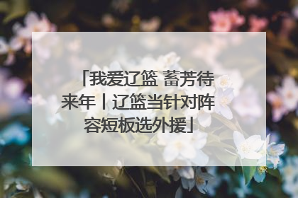 我爱辽篮 蓄芳待来年丨辽篮当针对阵容短板选外援