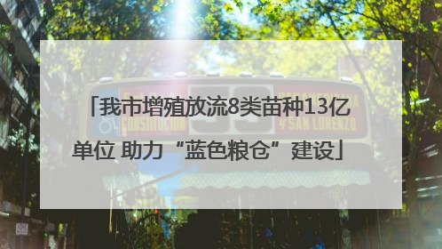我市增殖放流8类苗种13亿单位 助力“蓝色粮仓”建设