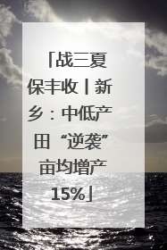 战三夏 保丰收丨新乡：中低产田“逆袭” 亩均增产15%
