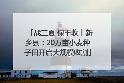 战三夏 保丰收丨新乡县：20万亩小麦种子田开启大规模收割