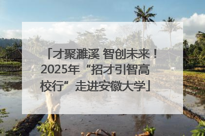 才聚濉溪 智创未来！2025年“招才引智高校行”走进安徽大学