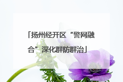 扬州经开区“警网融合”深化群防群治