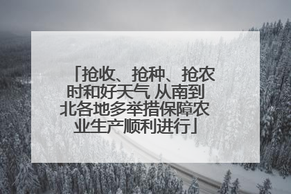 抢收、抢种、抢农时和好天气 从南到北各地多举措保障农业生产顺利进行