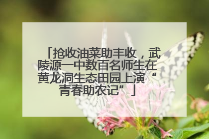 抢收油菜助丰收，武陵源一中数百名师生在黄龙洞生态田园上演“青春助农记”