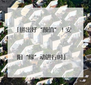 拼出好“颜值”！安阳“绿”动进行时