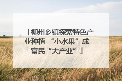 柳州乡镇探索特色产业种植 “小水果”成富民“大产业”
