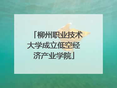 柳州职业技术大学成立低空经济产业学院