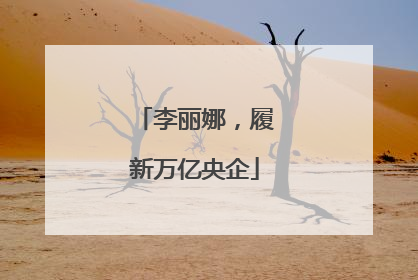 李丽娜，履新万亿央企