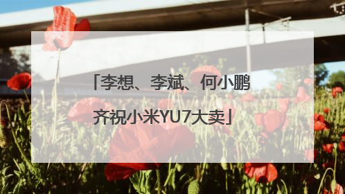 李想、李斌、何小鹏齐祝小米YU7大卖