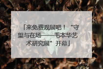 来免费观展吧！“守望与在场——毛本华艺术研究展”开幕