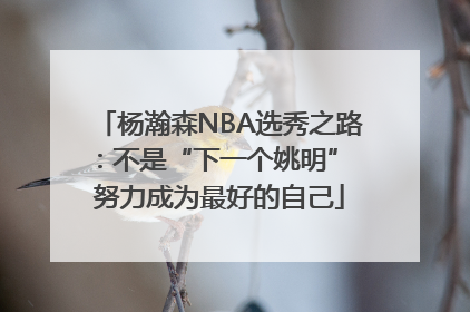 杨瀚森NBA选秀之路：不是“下一个姚明” 努力成为最好的自己