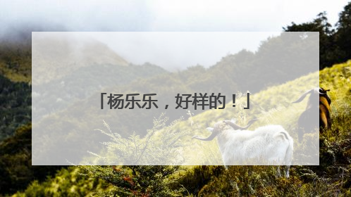 杨乐乐，好样的！
